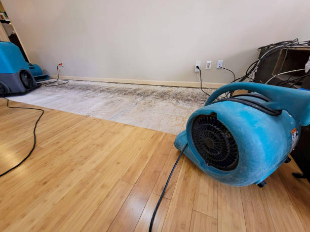 Professional Basement Flood Cleanup technician working in Carson City, MI